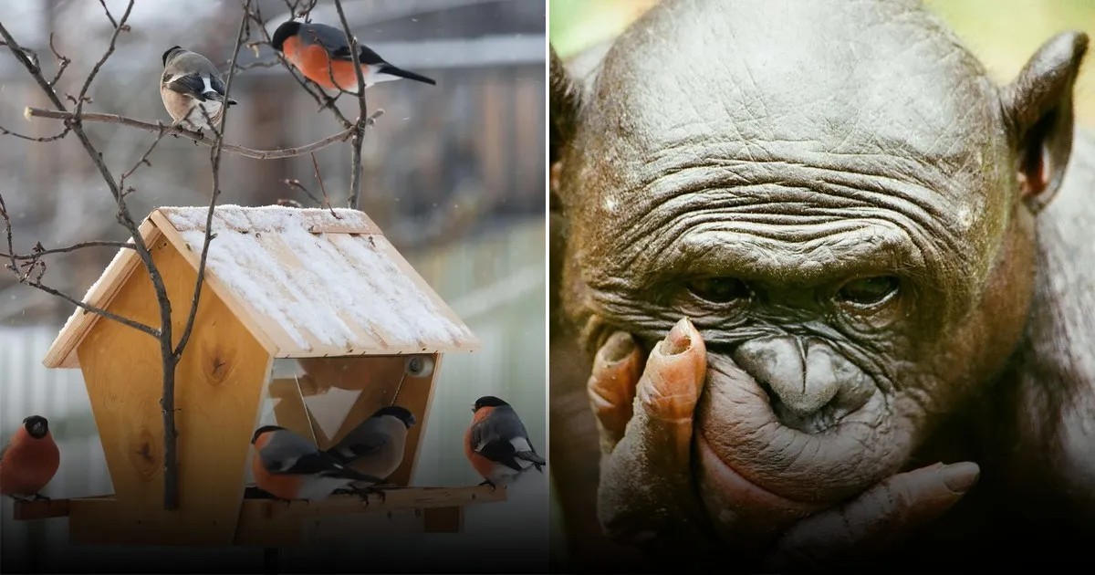 Учёные объяснили, как развитие мозга помогло предкам птиц пережить массовое вымирание