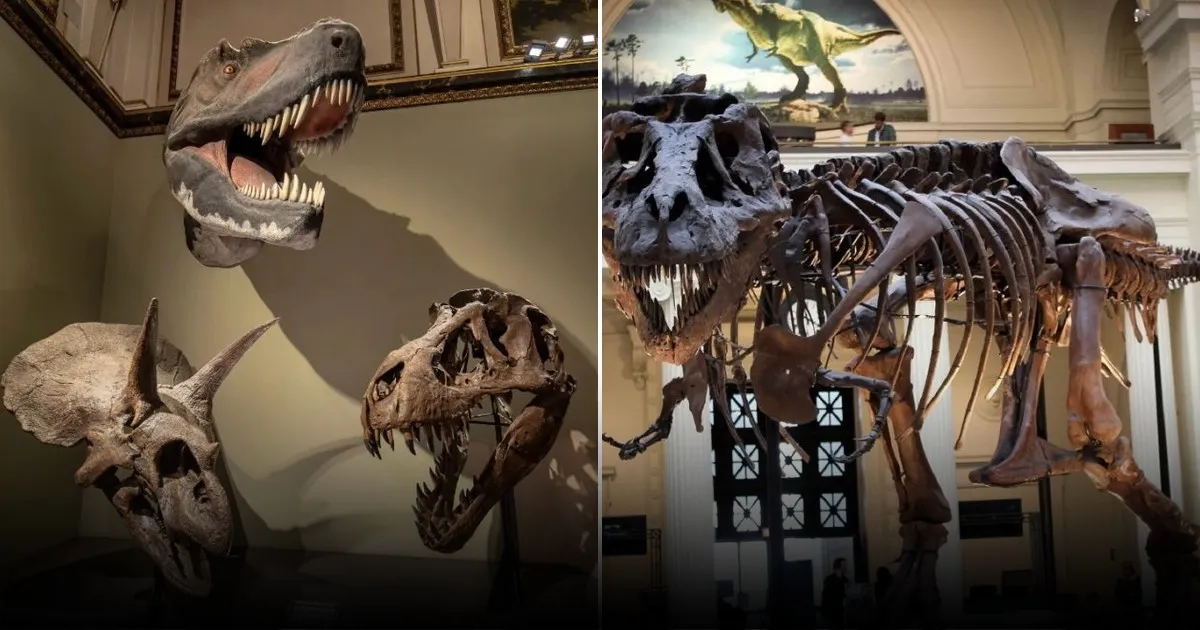 Виртуальные динозавры: как ИИ оживляет наследие Ти-рекса