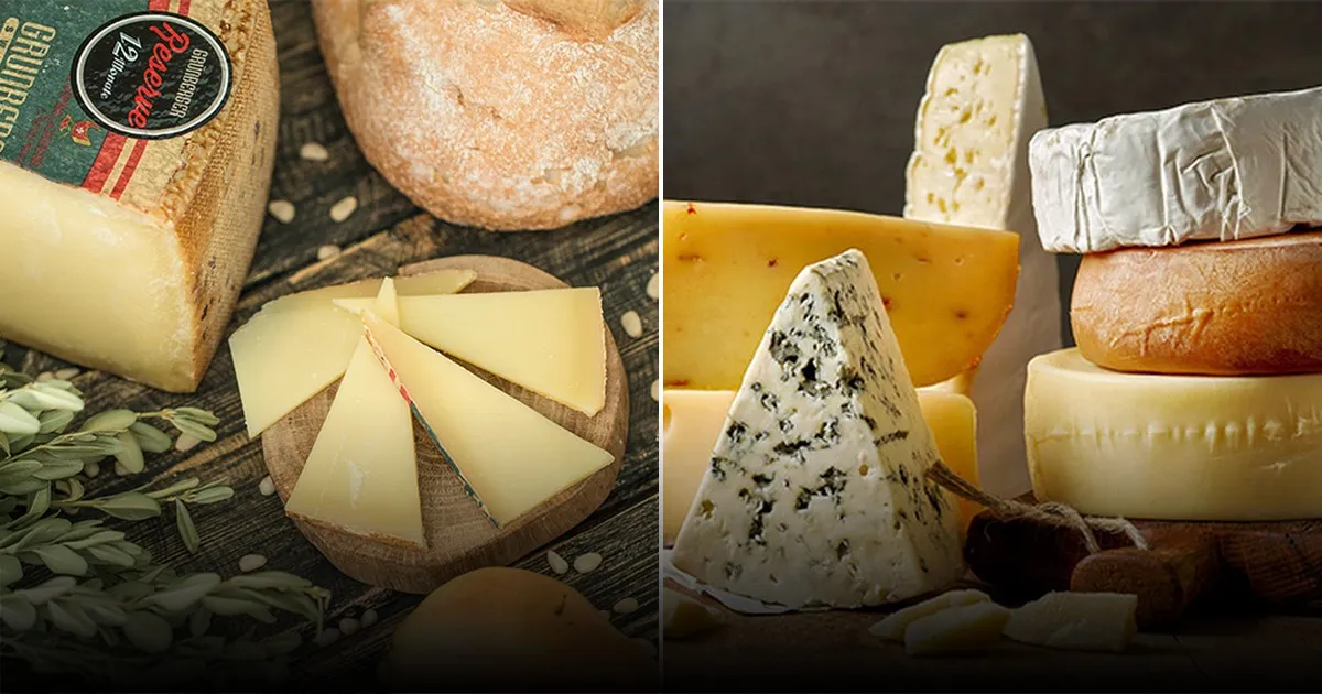 Россиянам объяснили, сколько сыра можно съесть в день без ущерба здоровью