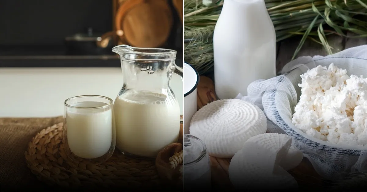 Молоко полезно не всем: раскрываем секреты безлактозных альтернатив