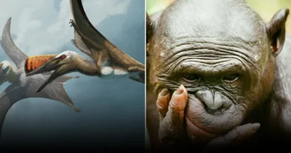 Найденные следы древних рептилий переписывают историю эволюции животных