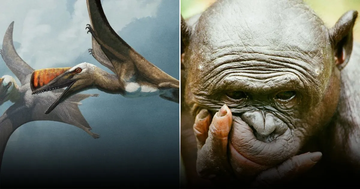 Найденные следы древних рептилий переписывают историю эволюции животных