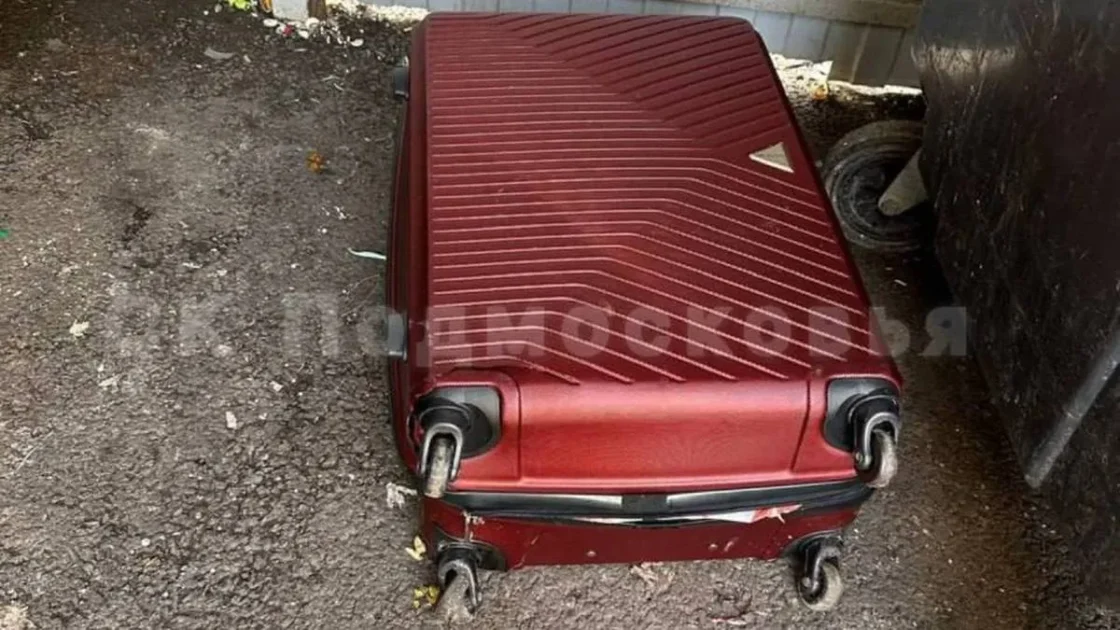 Появились подробности по делу об убийстве бьюти-мастера в Красногорске