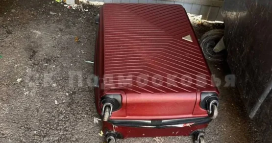 Появились подробности по делу об убийстве бьюти-мастера в Красногорске