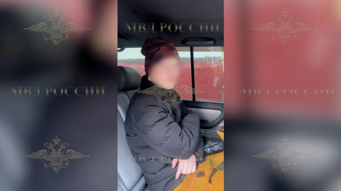 Найден еще один человек, связанный с убийством предпринимательницы в Москве