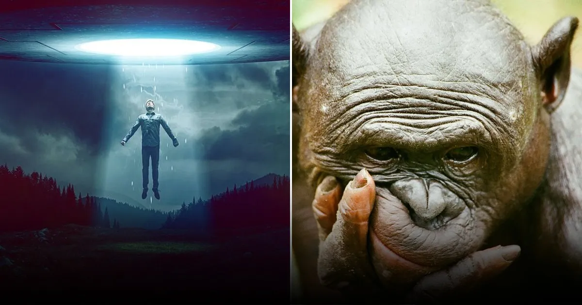 Вера в чудо и эффект внушения: как советское телевидение формировало массовое сознание