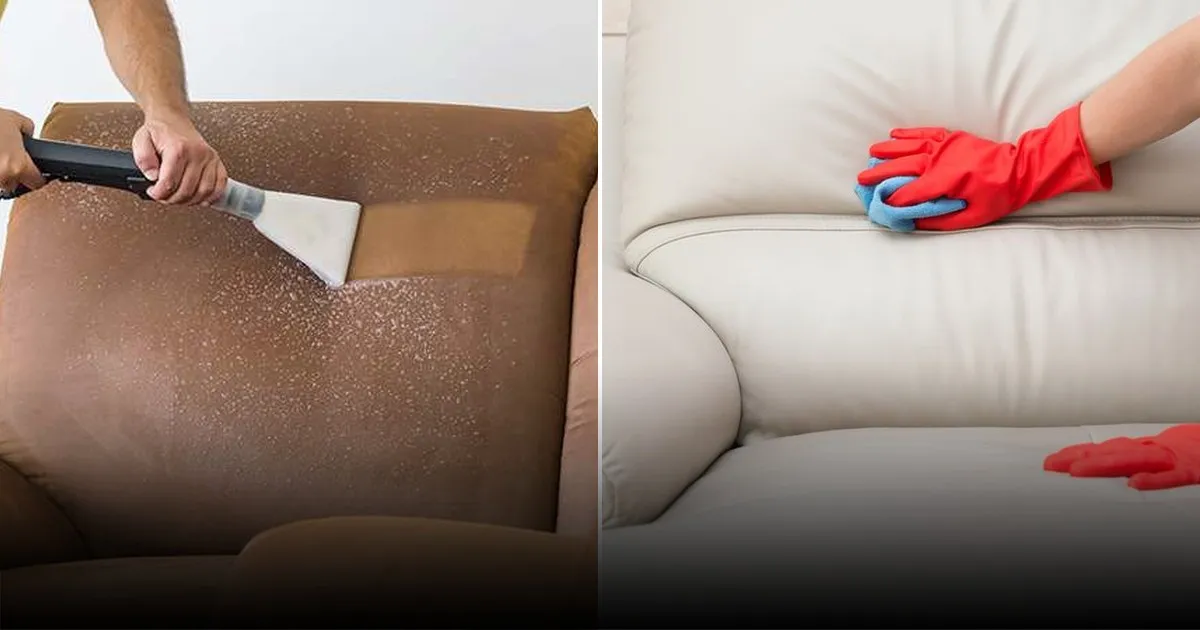 Названы эффективные методы избавления от шерсти домашних животных на мебели