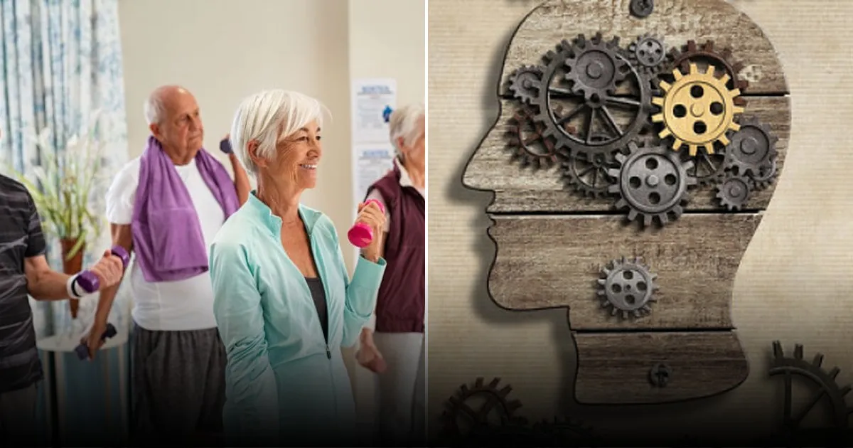 Остановите деградацию: 11 недорогих способов сохранить острый ум до старости