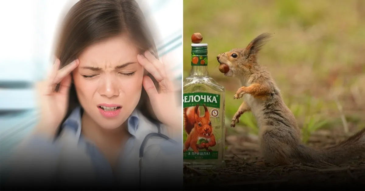 Эксперты рассказали, как проявляются симптомы аллергии на алкоголь Эксперты рассказали, как проявляются симптомы аллергии на алкоголь