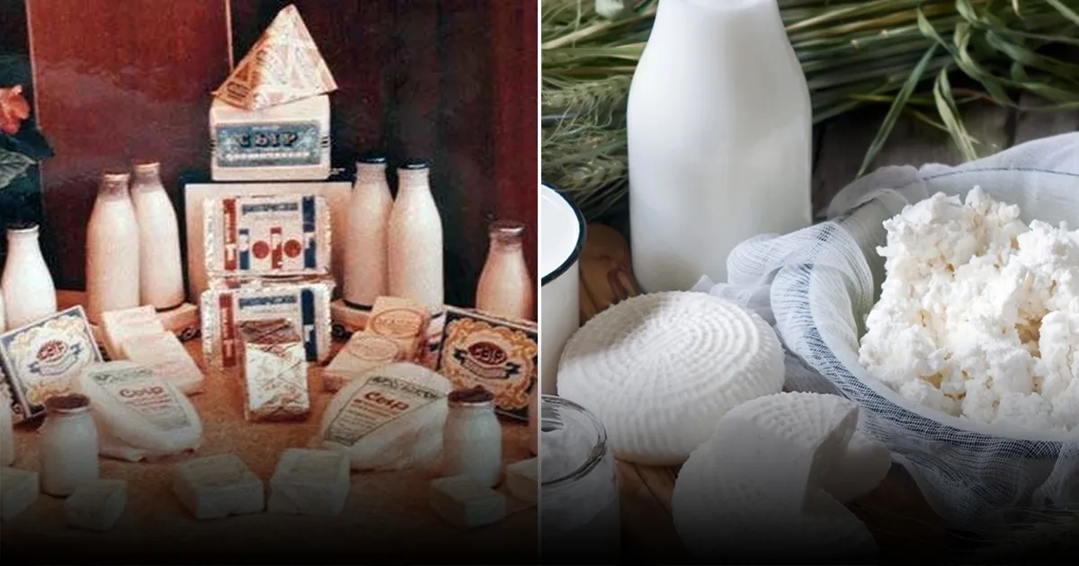 Что стоит знать о молочных продуктах: развеиваем мифы