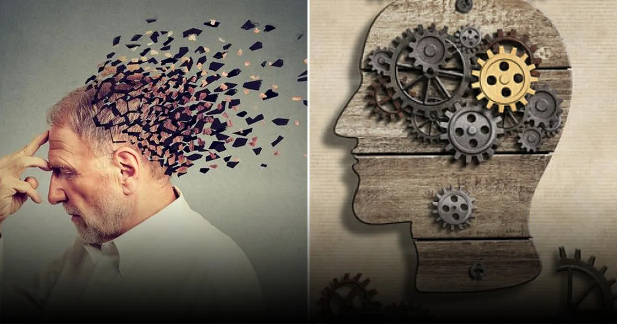 Мозг в опасности: 5 продуктов, ухудшающих память и нейронные связи