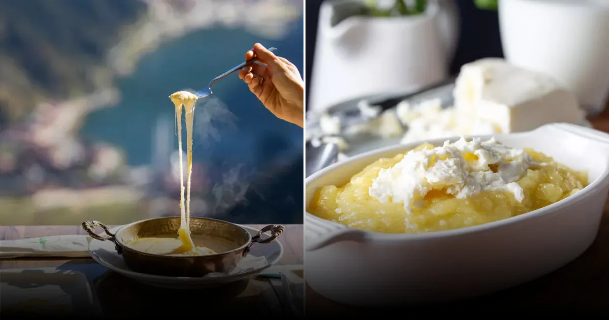 Почему вам стоит попробовать турецкие сыры Почему вам стоит попробовать турецкие сыры