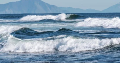 Учёные нашли неизвестное существо в Тихом океане на глубине 9 км