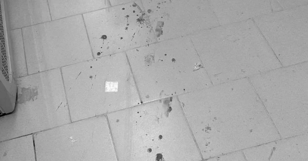 Неизвестный с ножом убил женщину и ранил мужчину в супермаркете в Люберцах