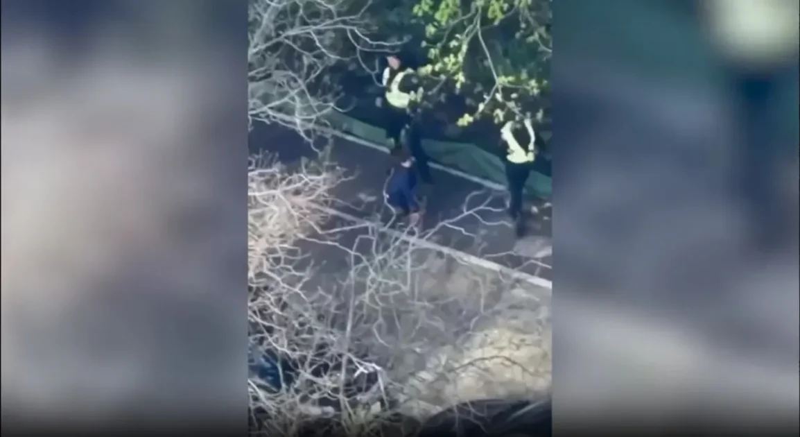 На Украине принято решение в отношении сбежавших во время стрельбы в Киеве полицейских