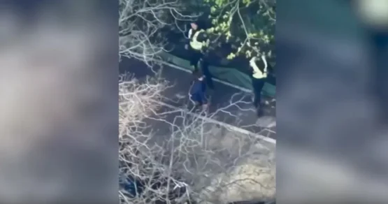 На Украине принято решение в отношении сбежавших во время стрельбы в Киеве полицейских