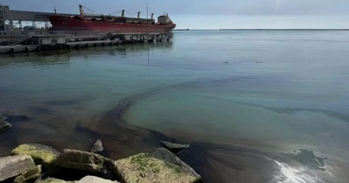 Мазут разлился в море у Туапсе
