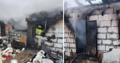 Около 200 чихуахуа заживо сгорели в Нижнем Новгороде