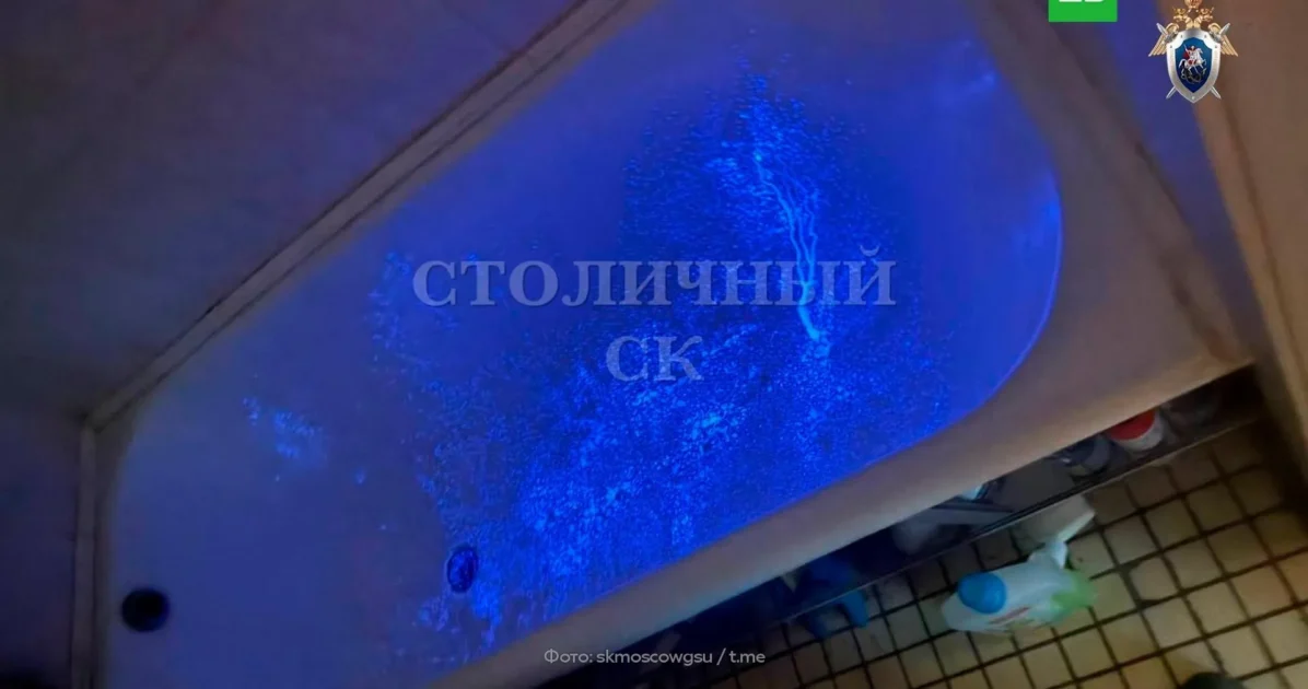 Житель Москвы убил отца и сжег его тело в лесополосе