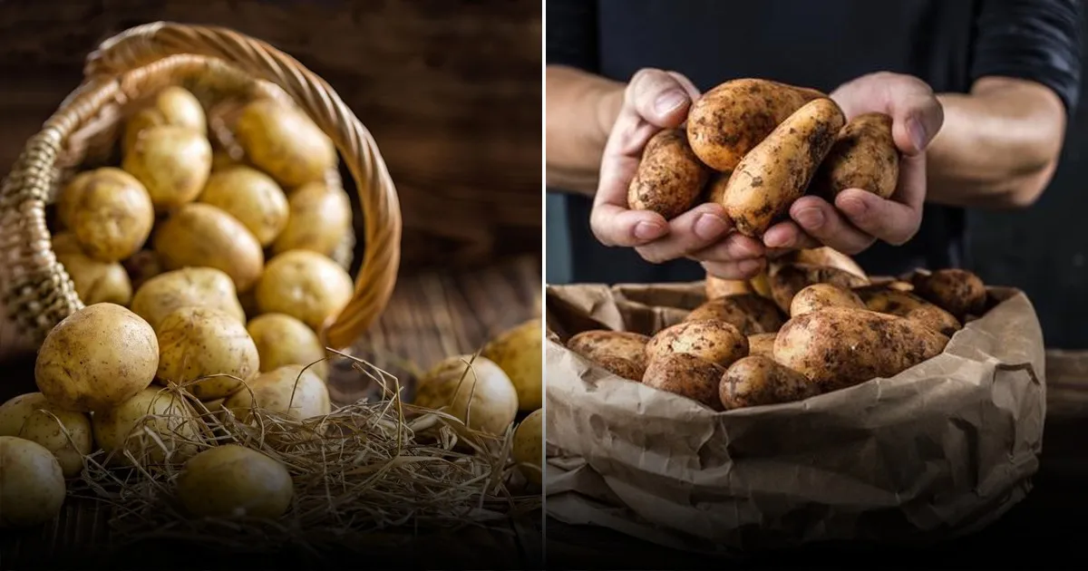 Зачем есть картошку с кожурой: польза, которую мы игнорируем