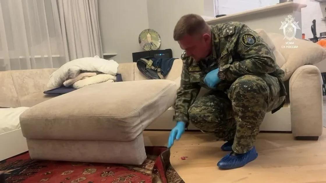 Стала известна судьба дочери убитой в Москве женщины Стала известна судьба дочери убитой в Москве женщины